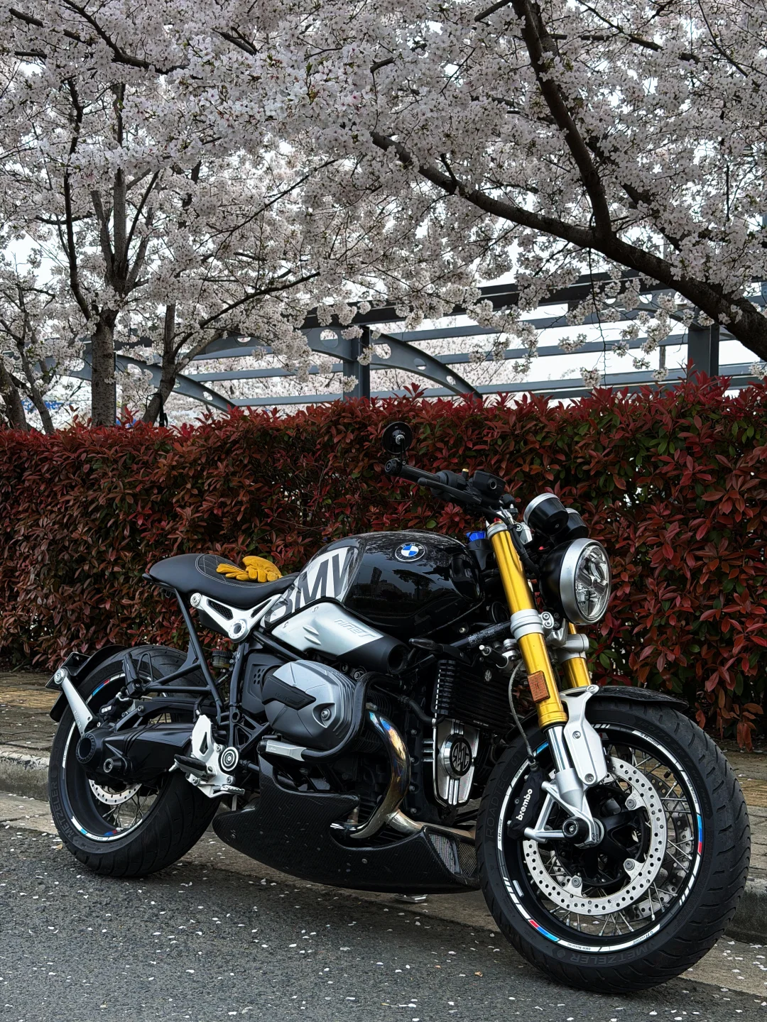 樱花树下站谁都美