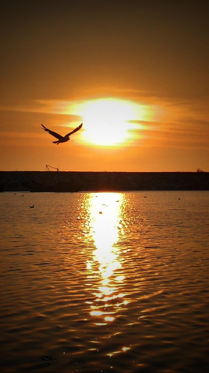 下联：海阔天空景象明。

（图片来自网络）