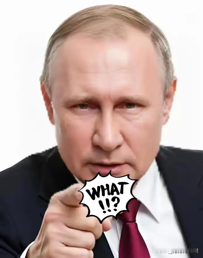 快报！快报！
普京宣布了消息

阿拉伯国家领导人能不能在15日如期出现在莫斯科？