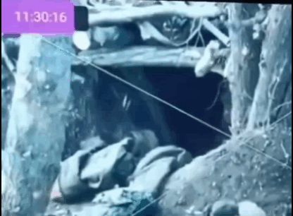 1名俄军士兵在掩体内两眼无神地探出半个脑袋，随着无人机镜头拉远，惊人的一幕出现了