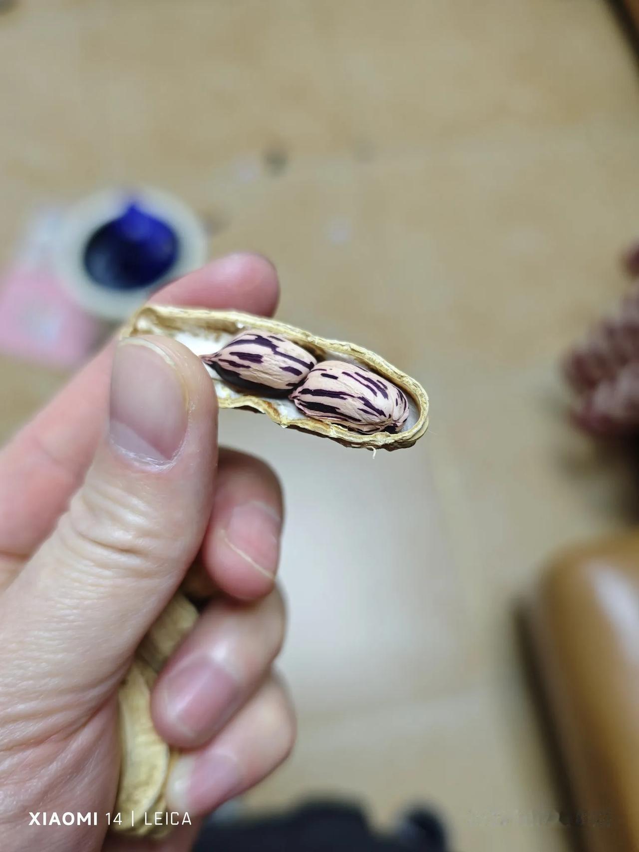 花生都变异了[捂脸]，是海克斯科技吗？