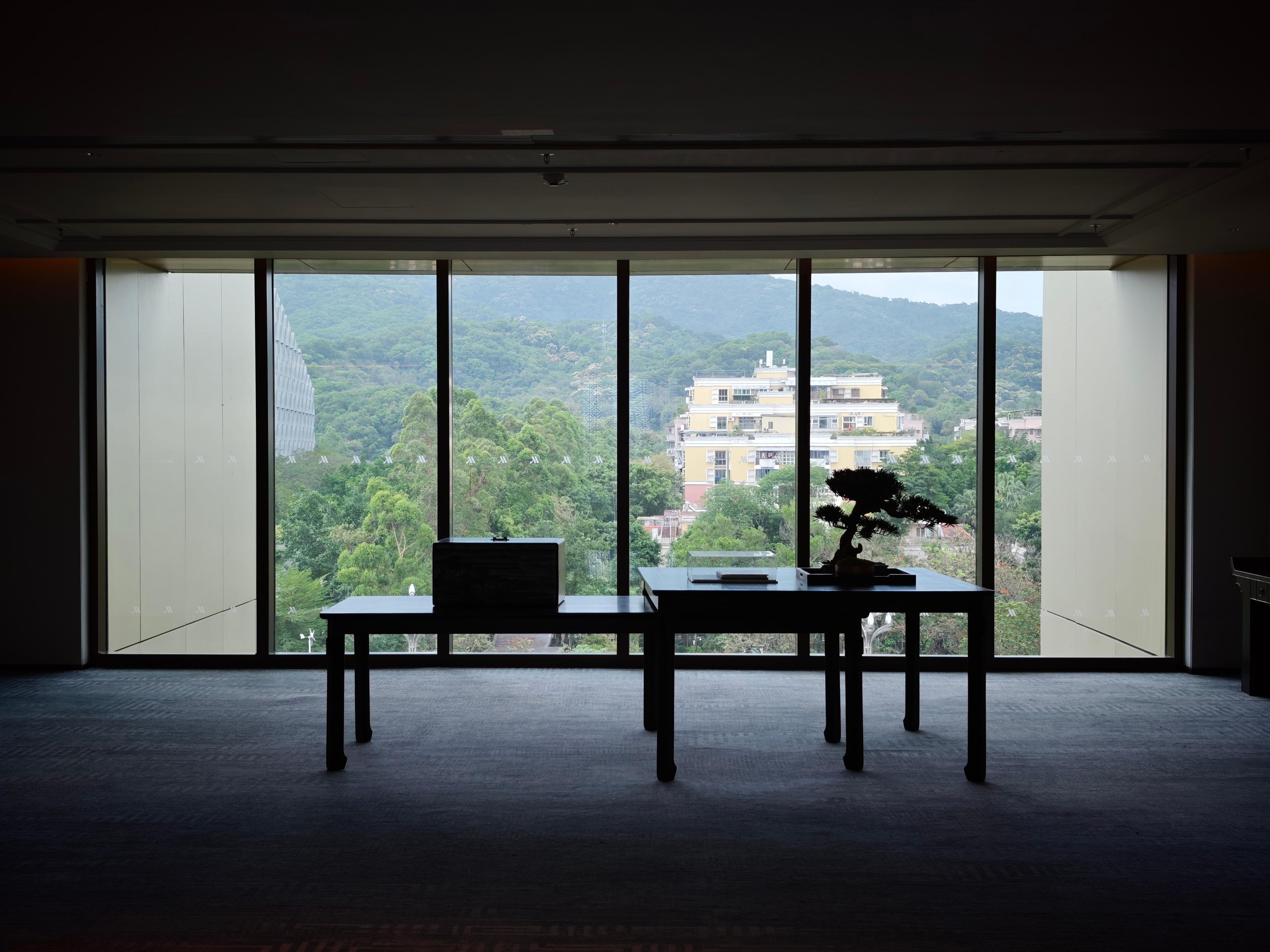 今日广州酒店就在白云山脚下，忙完工作准备上山转转，走着走着感觉这条小路不大对劲…