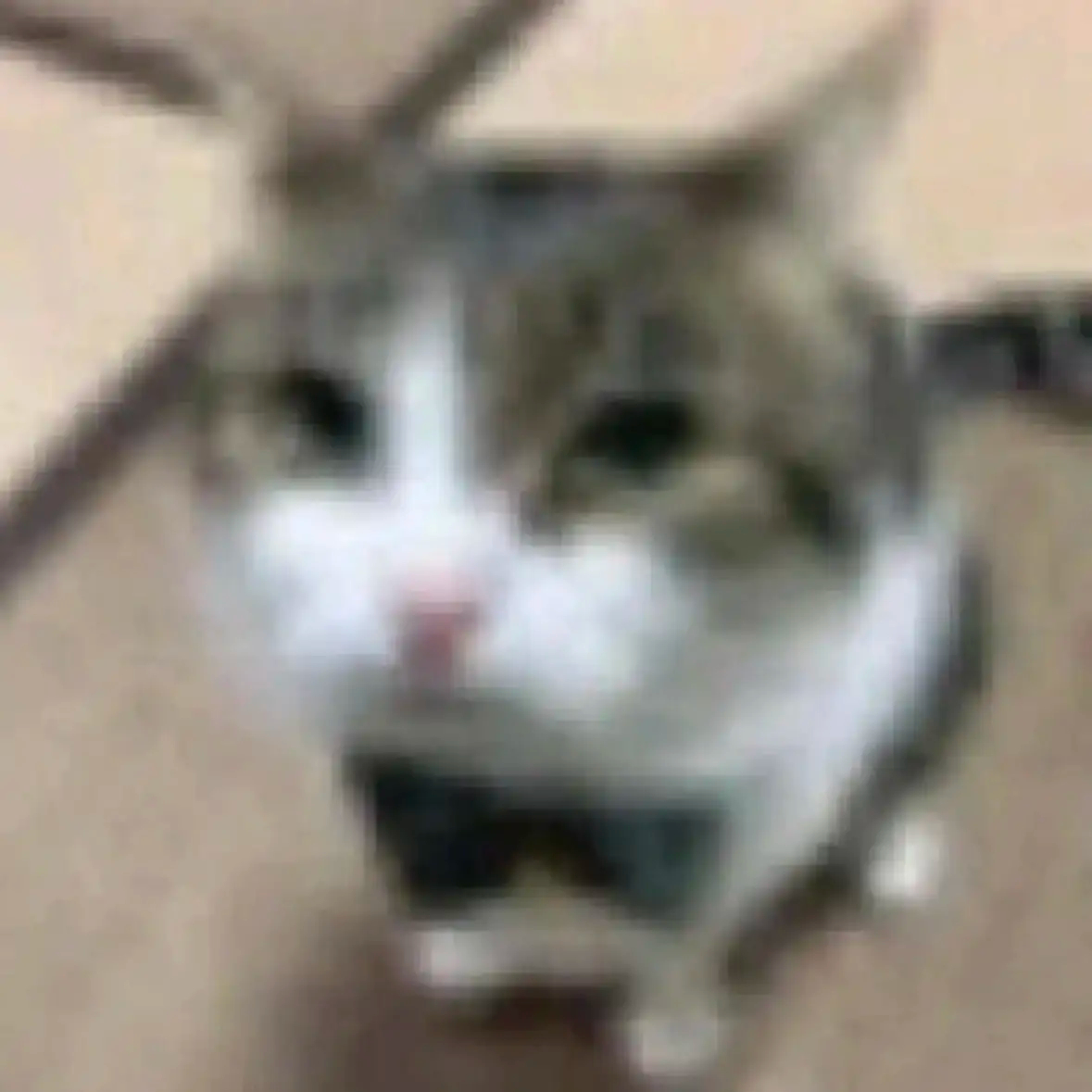 我的钱来之不易，走的更是莫名奇妙 ​​​
