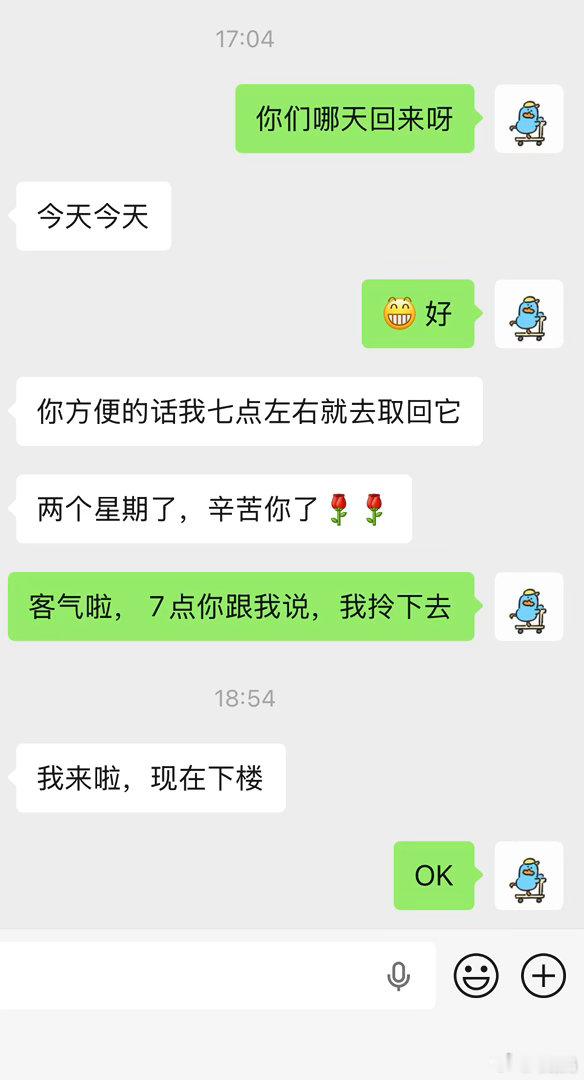 终于把小鹦鹉送走了，代养14天，感受就是致敬🫡每一个亲力亲为的养宠人，真心麻烦
