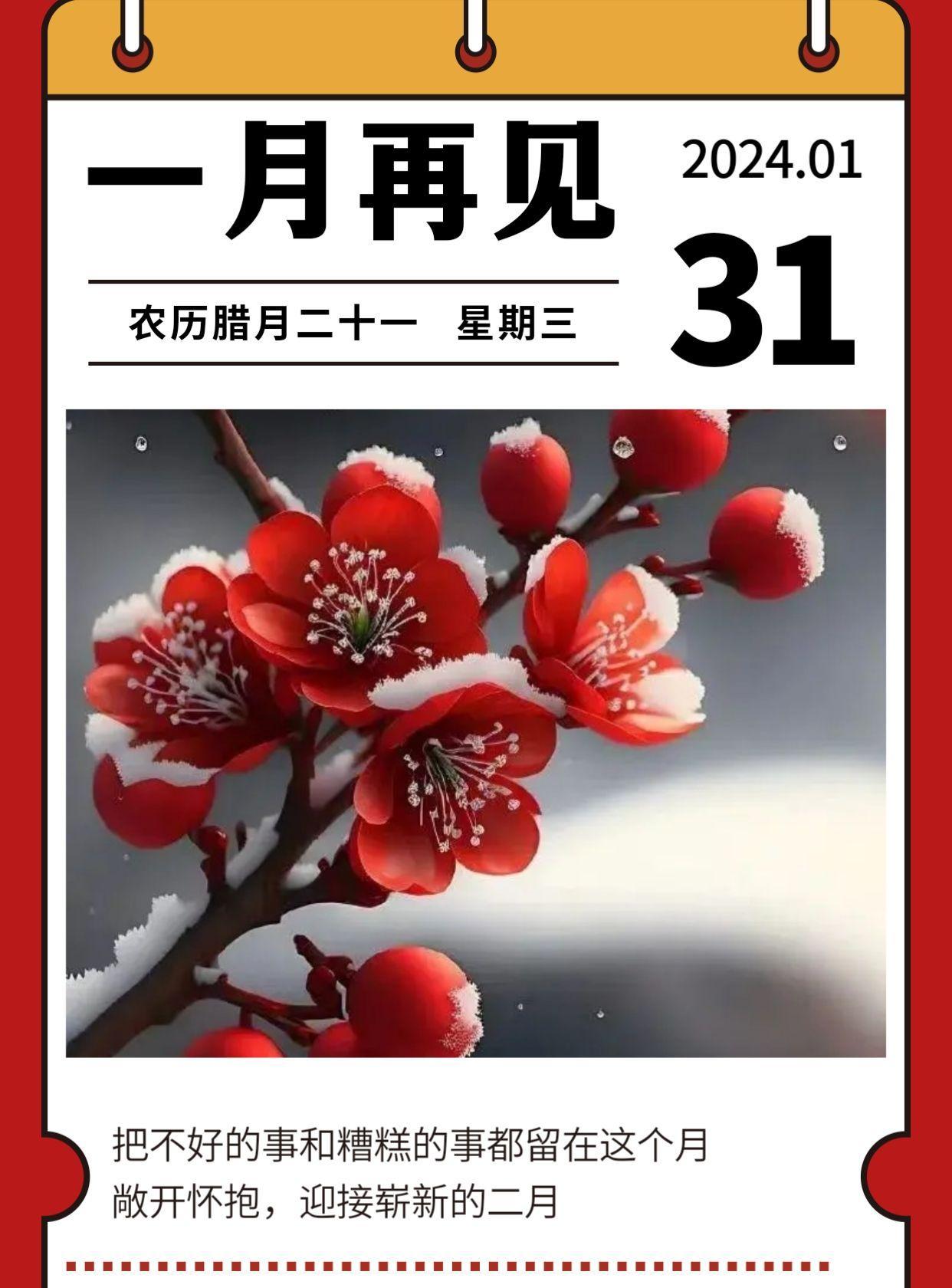 时间荏苒，
光阴似箭。
在不知不觉中，
2026年元月，
走到了最后一天。

告