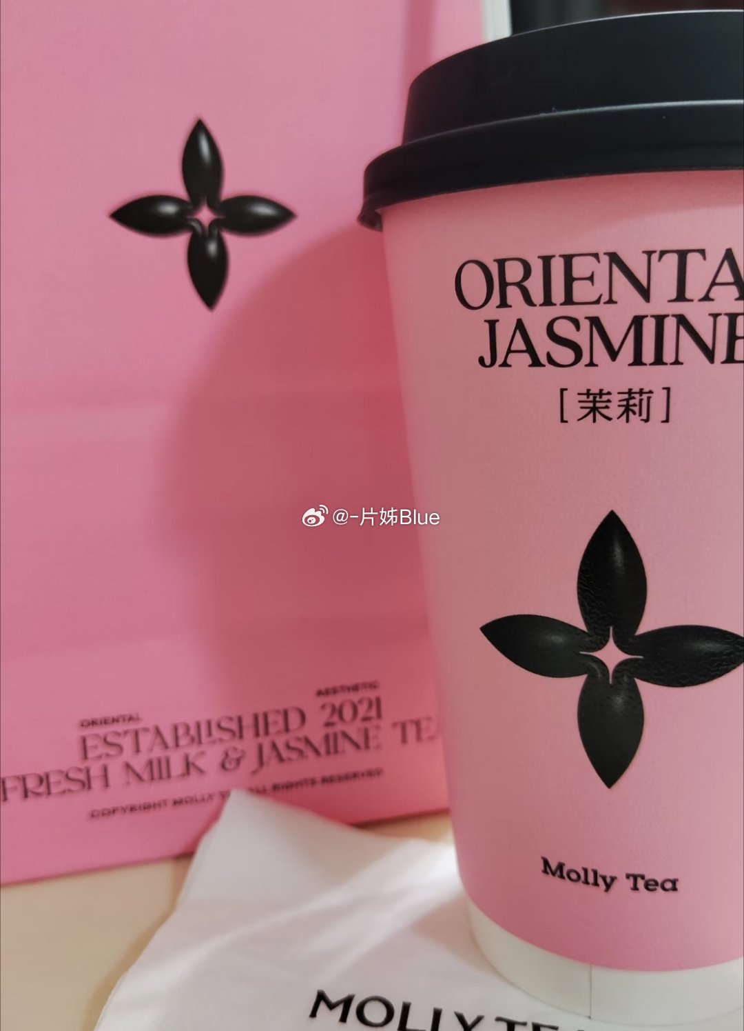 我想茉莉奶白一朵花的坚持它一定会给全世界证明最好的自己其实在我们的内心都清楚的知