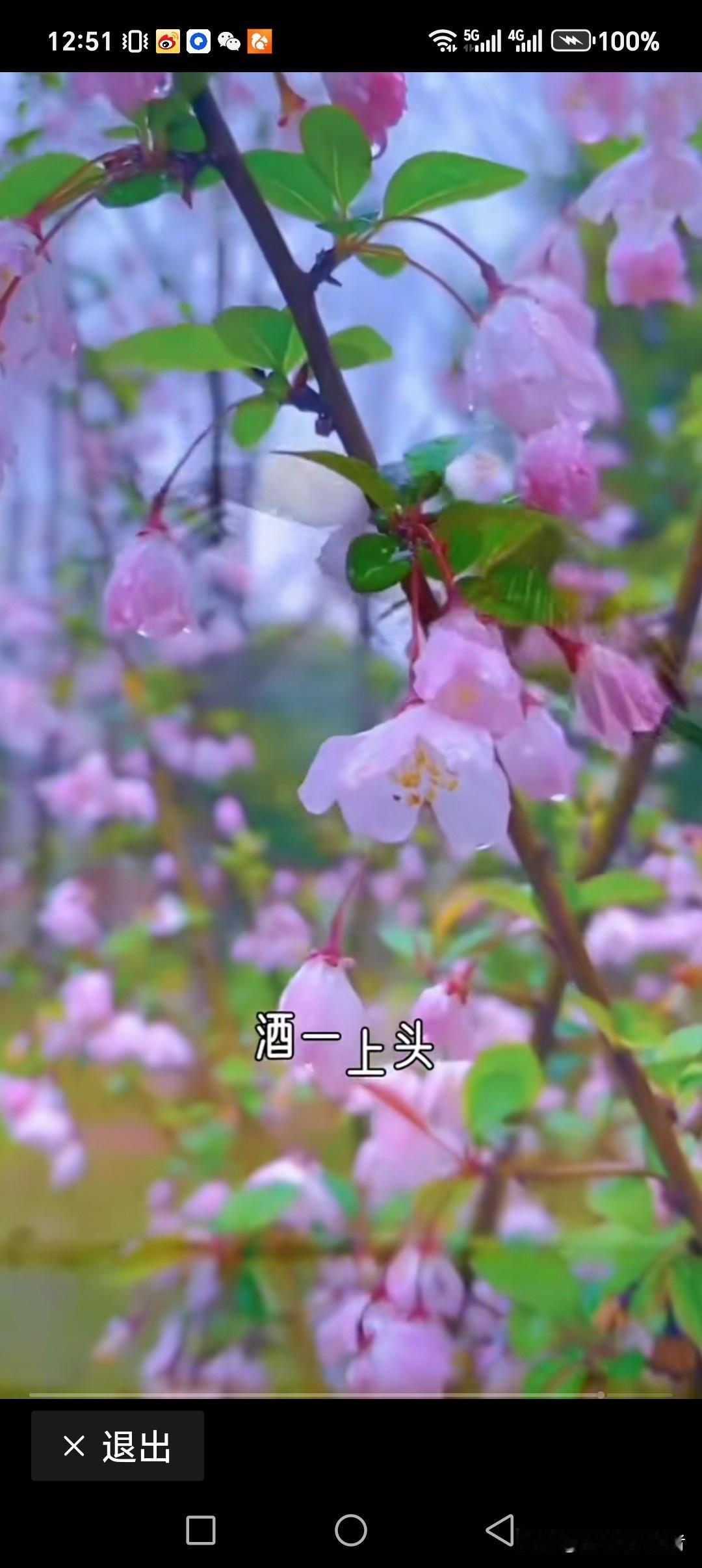 在封建的旧社会的李清照，被家暴我并不震惊，那时候不是有句: