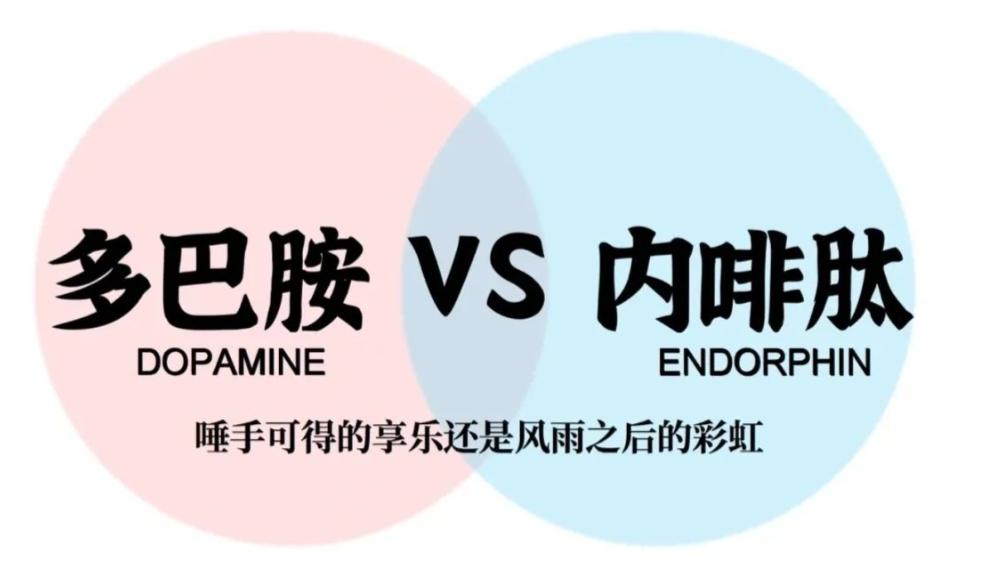 别再沉迷短暂快乐，内啡肽才是长久的治愈

很多人都有这样的体验：刷一晚上短视频、