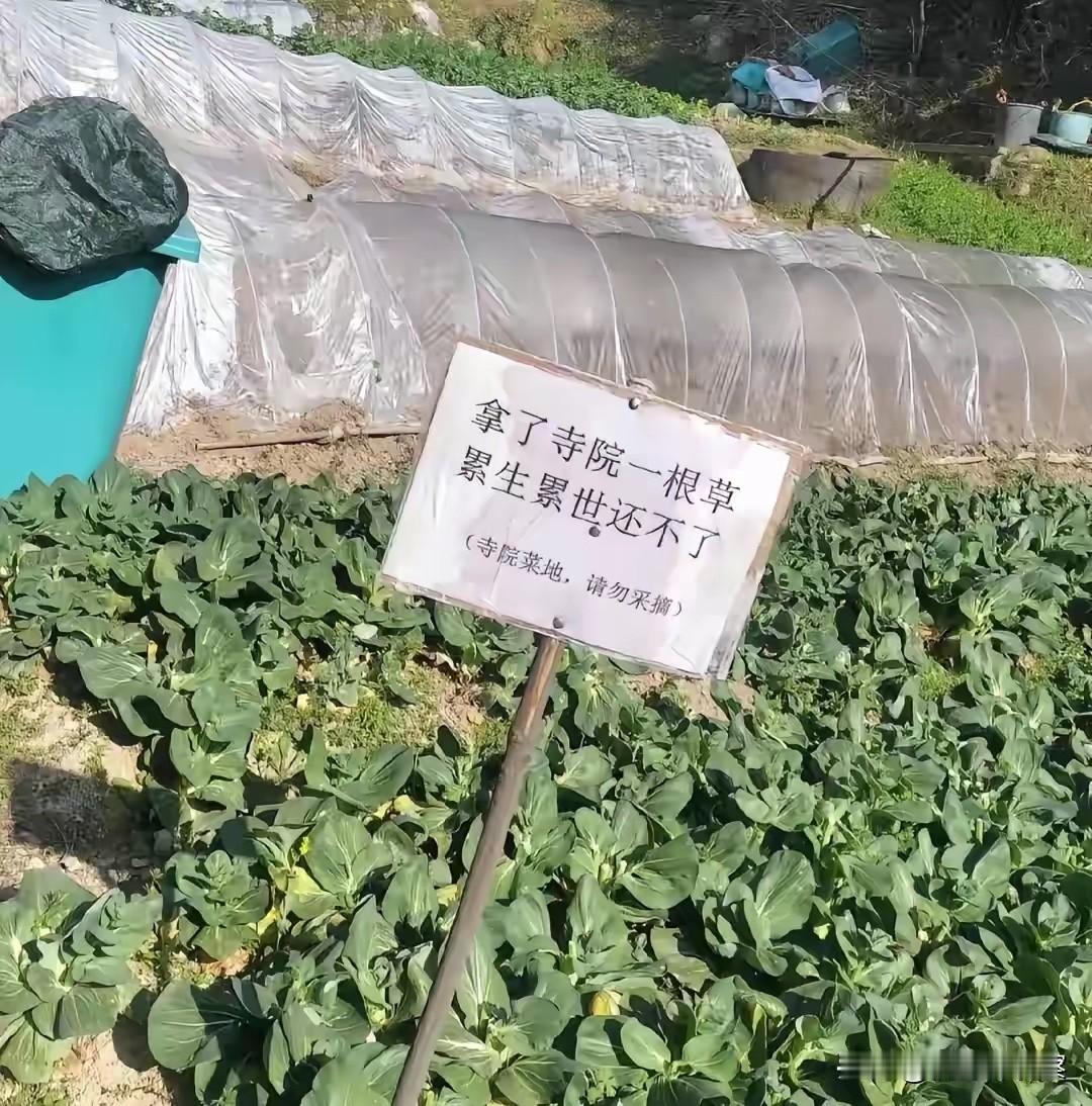 心胸如此狭隘，哪里寻找佛法无边。
干祈祷的买卖，无本万利。作诅咒之态，争蝇头小利