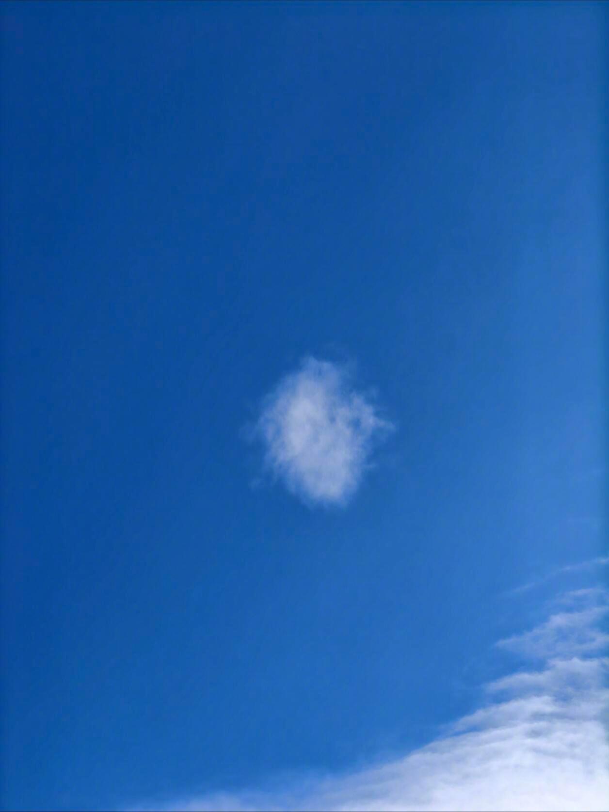 𝗵𝗮𝗽𝗽𝘆 ▸💭自由和快乐应该永远被置顶🔝 