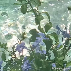 每日一善  🍊每日一善🍒阳光‎信用 阳光，是前行的火，点亮我们前行的灯；阳光