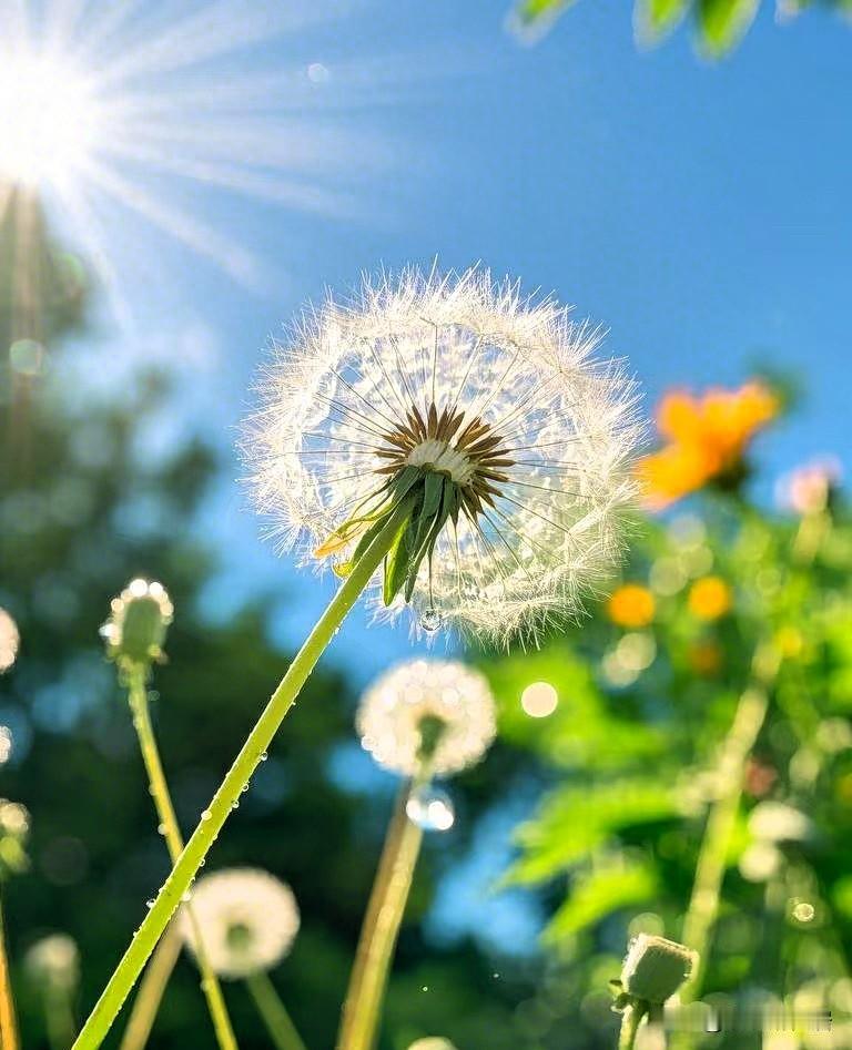 记录我的2026在这个繁忙的世界里，我们常常背负着沉重的行囊，忘记了如何放松。但