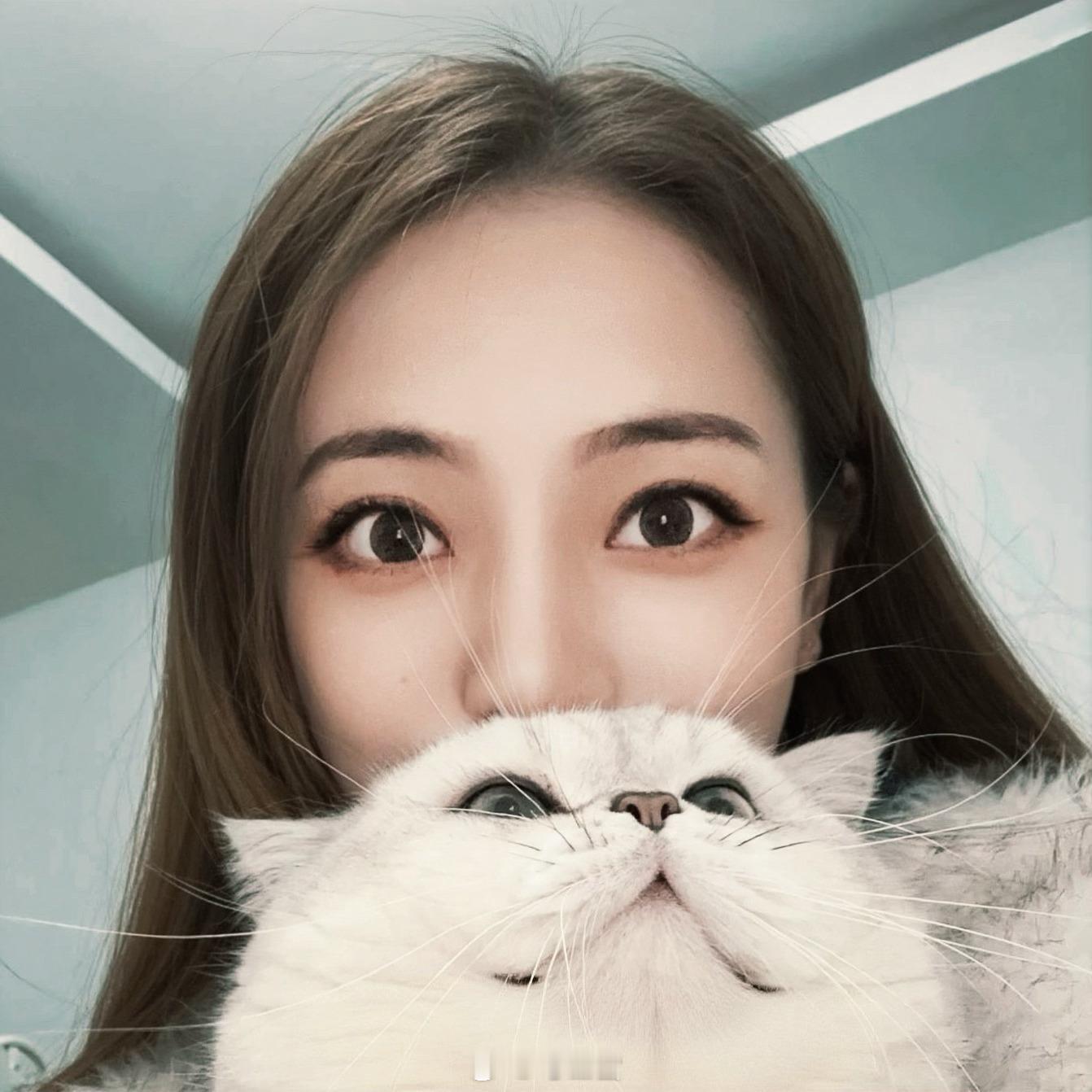 照片：天使小猫实际上是魔丸来的 