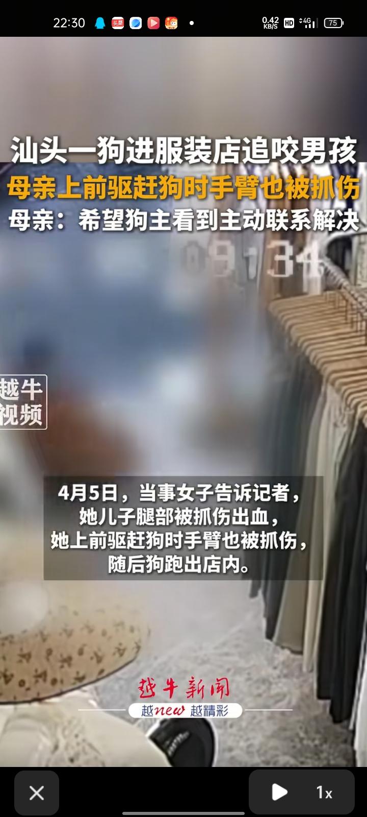 4月4日，广东汕头。女子晒视频称，一只狗进入服装店追咬她儿子，儿子退步被抓出血，