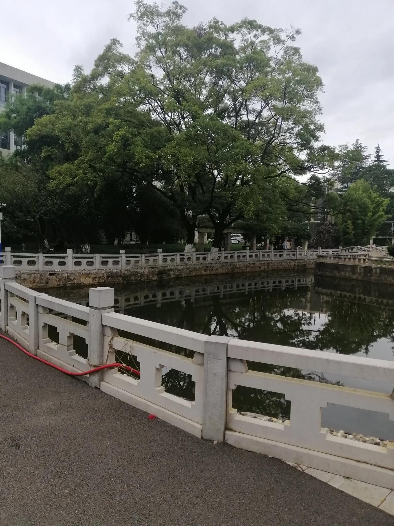 纪录生活中美景