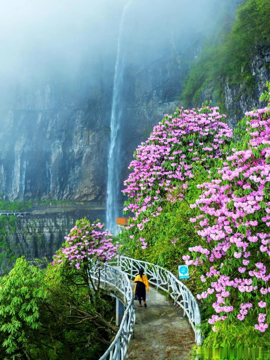 你想要的生活，都是从行动开始的。早安，每一个你！早安早安心语早安