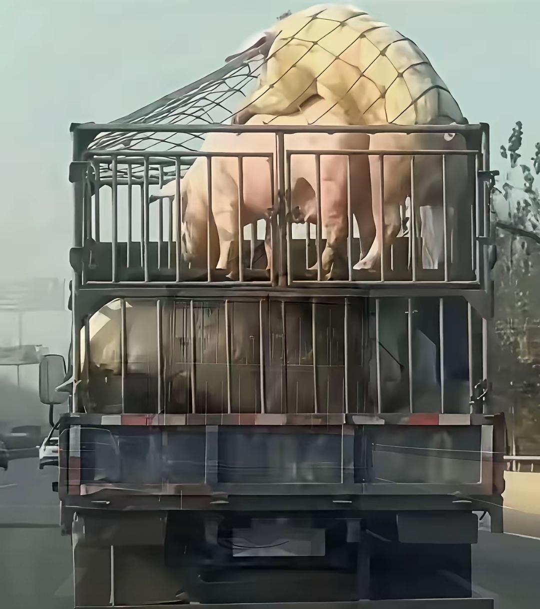 看到此时此景，您会想到哪些四字词语？