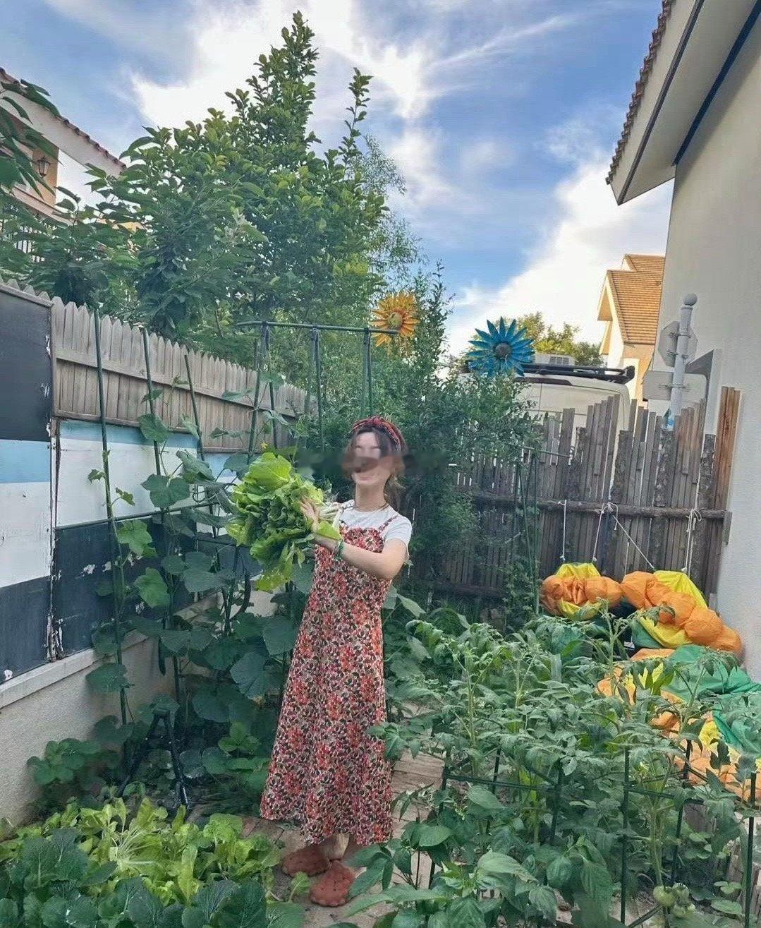 黄雅莉的后院不仅是她自己种菜种花的小菜园，还是她和朋友们的音乐小舞台。在这样的环