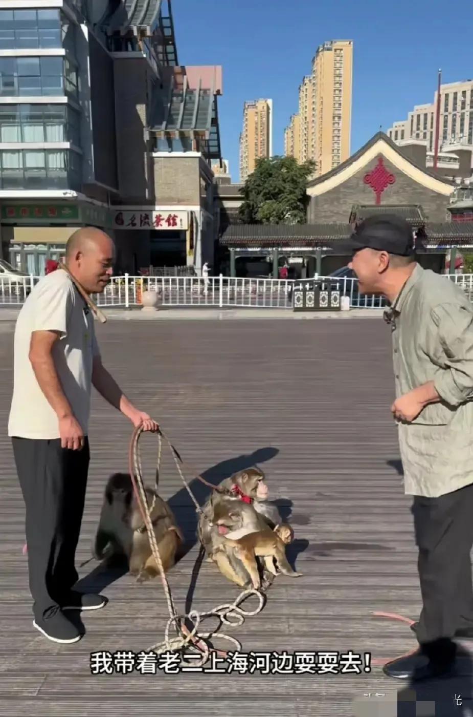 我认为杨议对侯耀华的态度变化有点快！

当他想巴结郭德纲时，就批评侯耀华清门的做