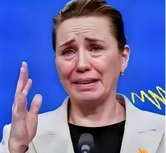 丹麦政府痛恨中国，丹麦的外交大臣拉斯穆森表示，过去不允许中国对格陵兰岛投资，现在