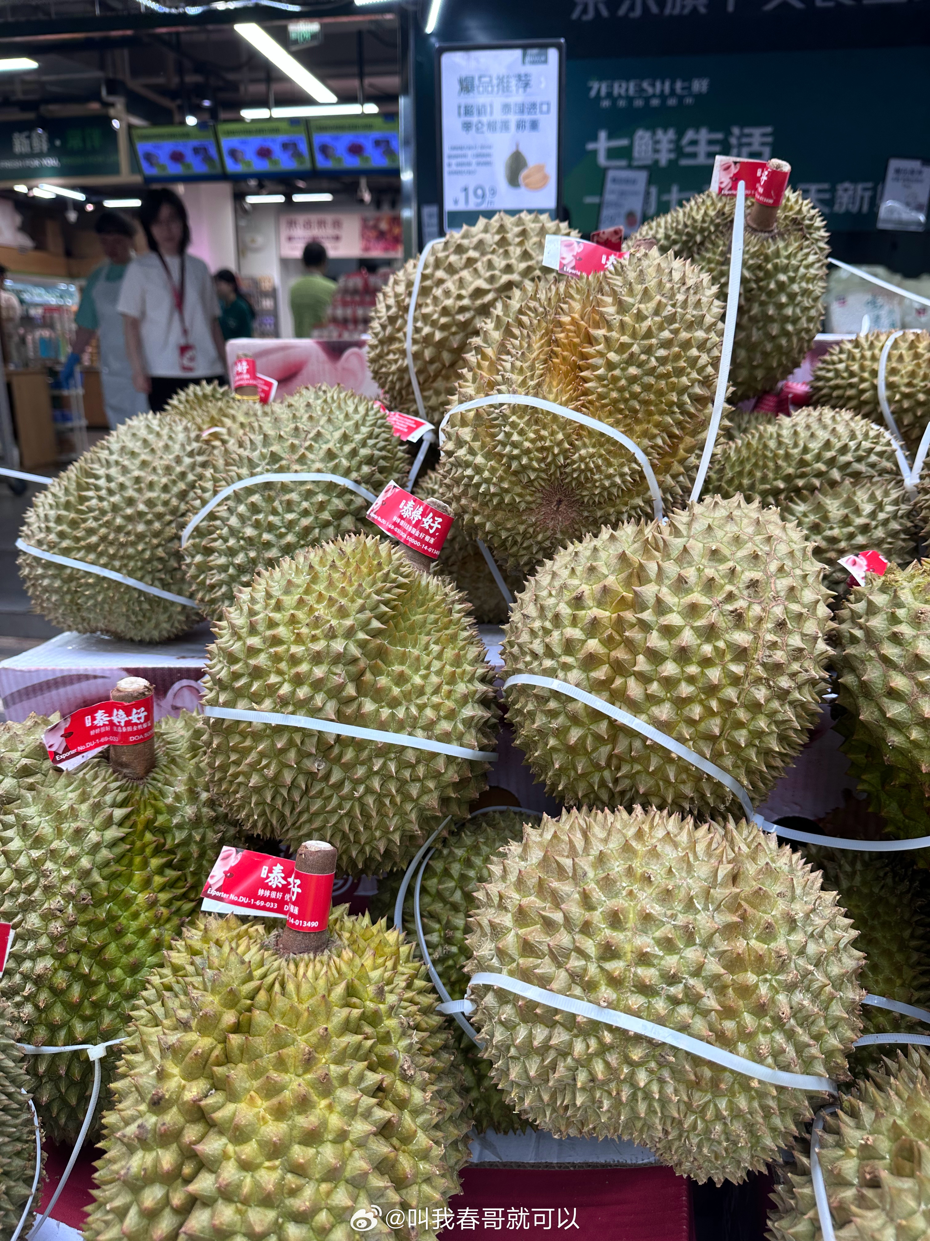 广州已于3月19日入夏广州迎65年来最早夏天  原来广州已经入夏了，热起来了！第