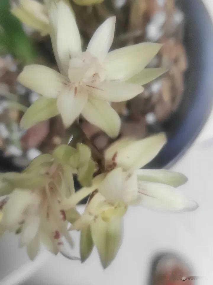 楼上新搬来一户人家，有个上幼儿园的孩子，那动静，昨晚拍皮球，今天哭了半个小时。