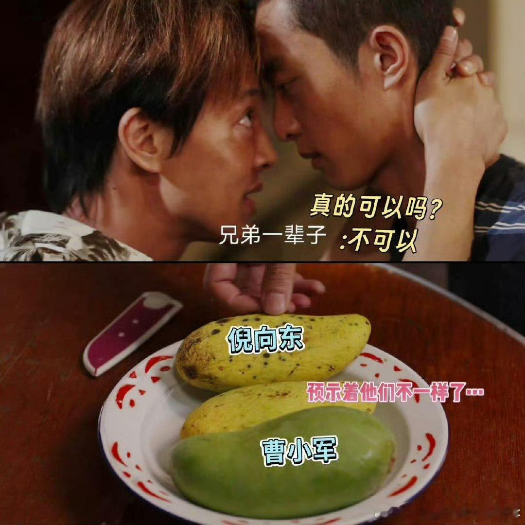 命悬一生烂芒果导员太会拍！这剧情精彩到爆，“烂芒果”设定超恰到好处，看完满是震惊