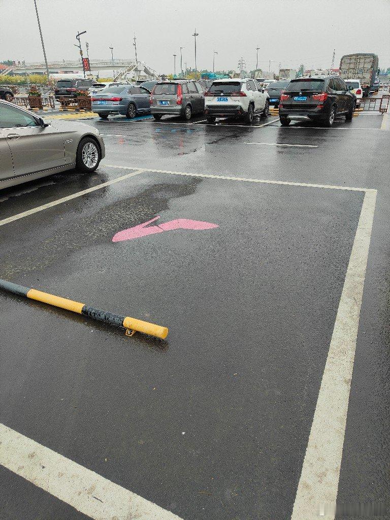 在江浙沪见过服务区室内有水系的，但天津的服务区里面有摩天轮就真得夸一夸？ 天津·