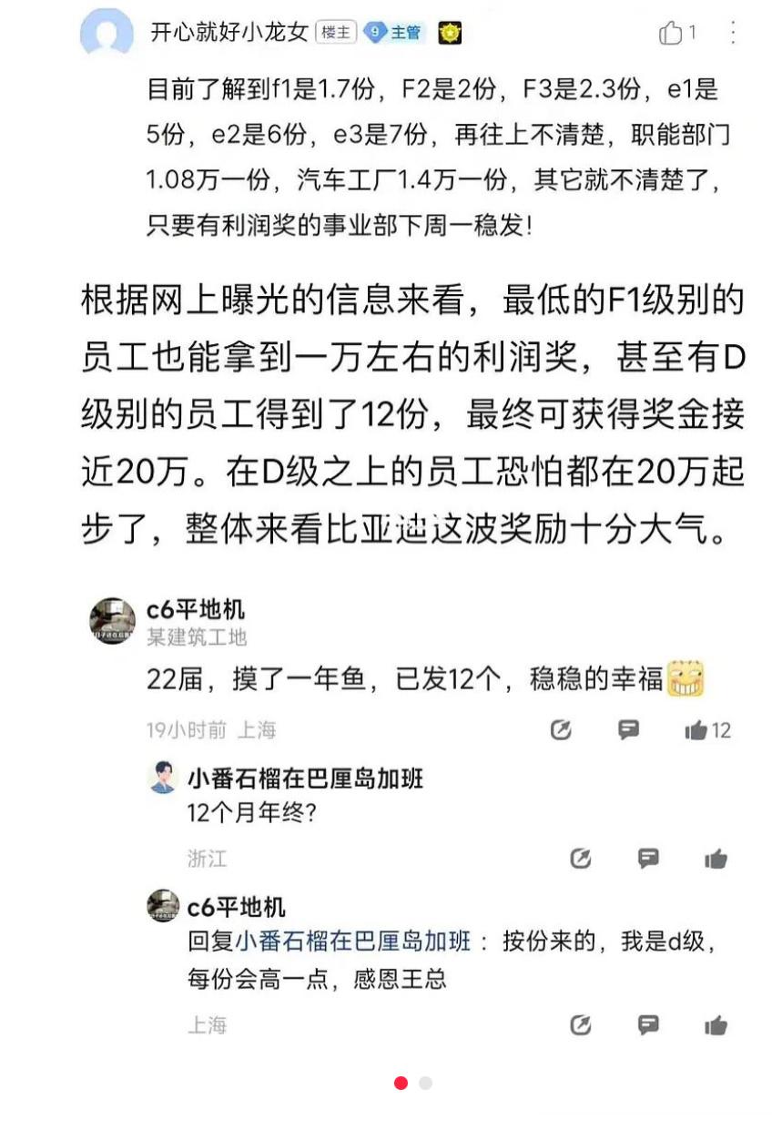 比亚迪这波利润奖金怎么评价[思考] ​​​