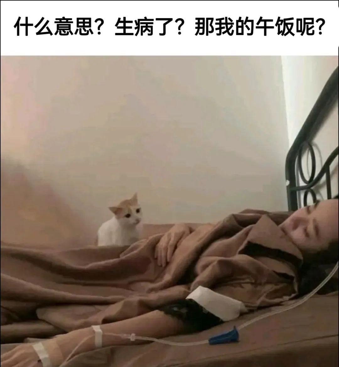 我他妈问你话呢 ​​​