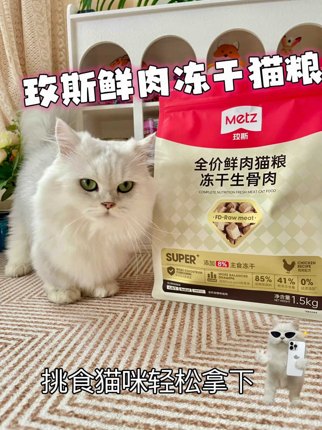 选对猫粮，挑食小猫咪也能被轻松拿捏