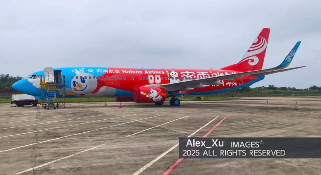 蜜雪冰城和海航联动整了个飞机涂装，注册号 B1141，波音 737-800我就想