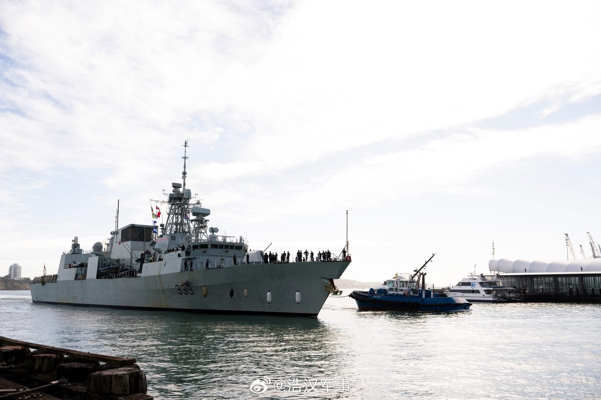 每天认识一件兵器全球武器装备盘点烽火问鼎计划 2026 年 3 月 9 日，哈利