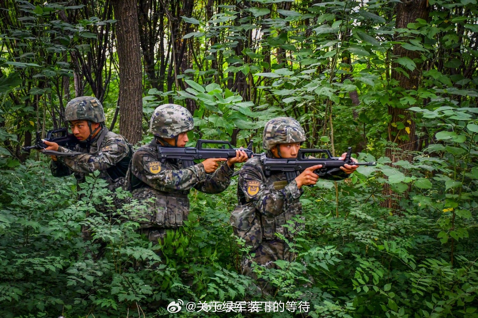 关于绿军装下的等待  【练！练！练！武警官兵野外训练现场画面】近日，武警天津总队