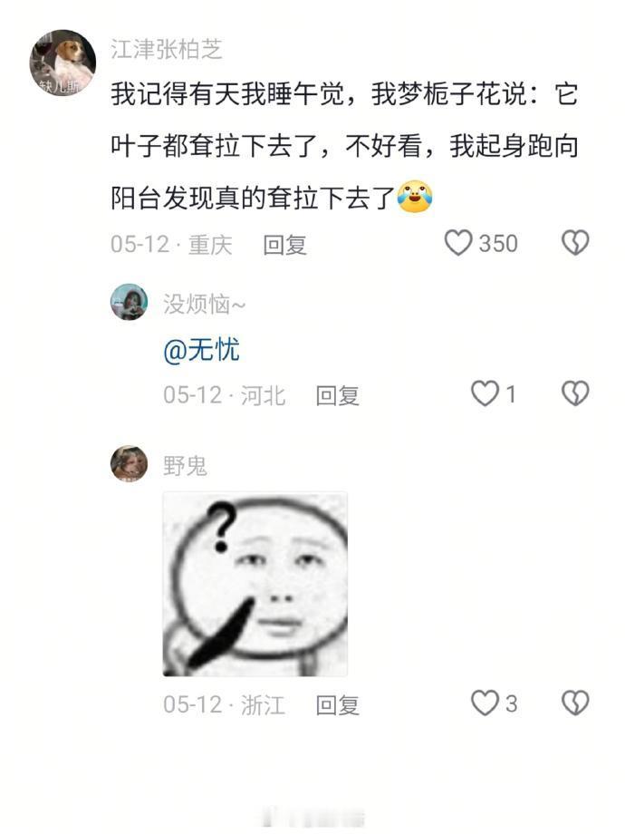 番茄：我重生了!我嘞个万物皆有灵 ​​​