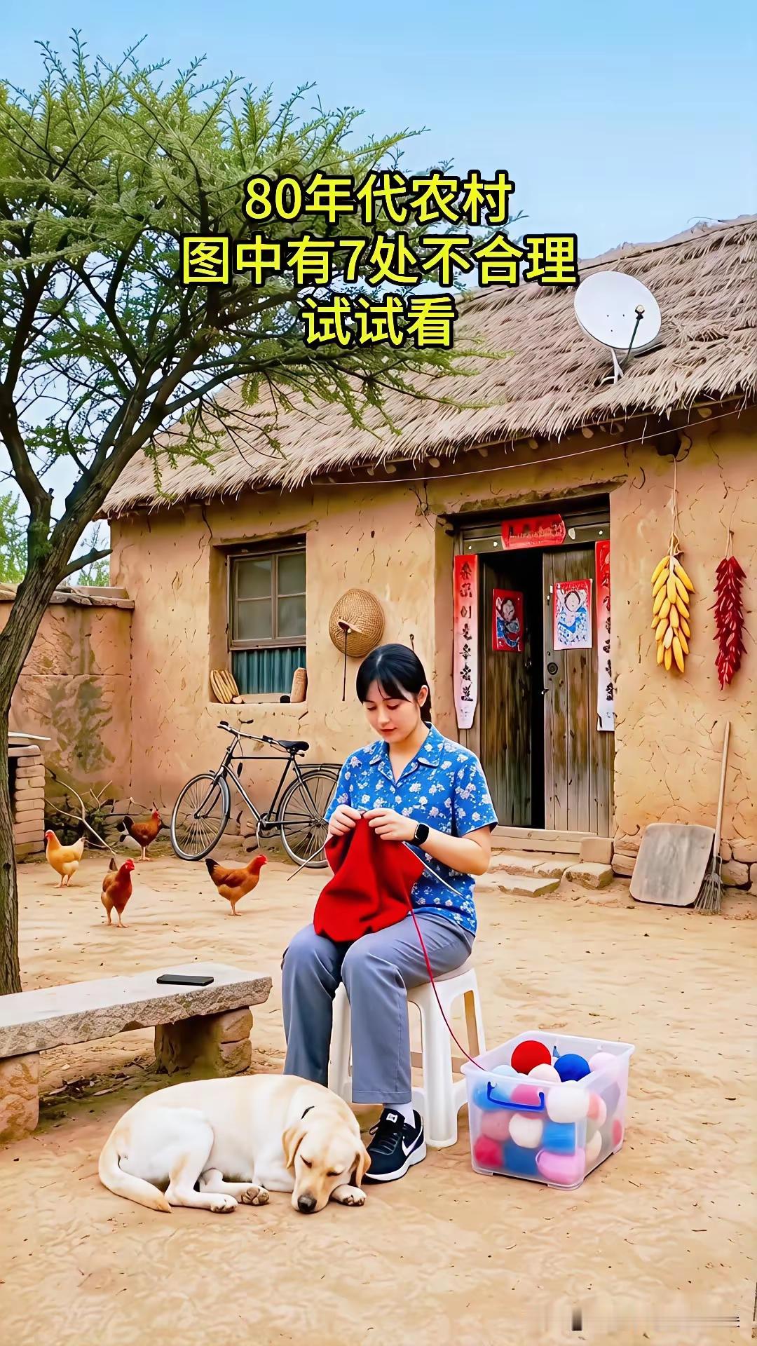 80年代农村生活图鉴，7处不合理等你来发现！🐔🐕🏠