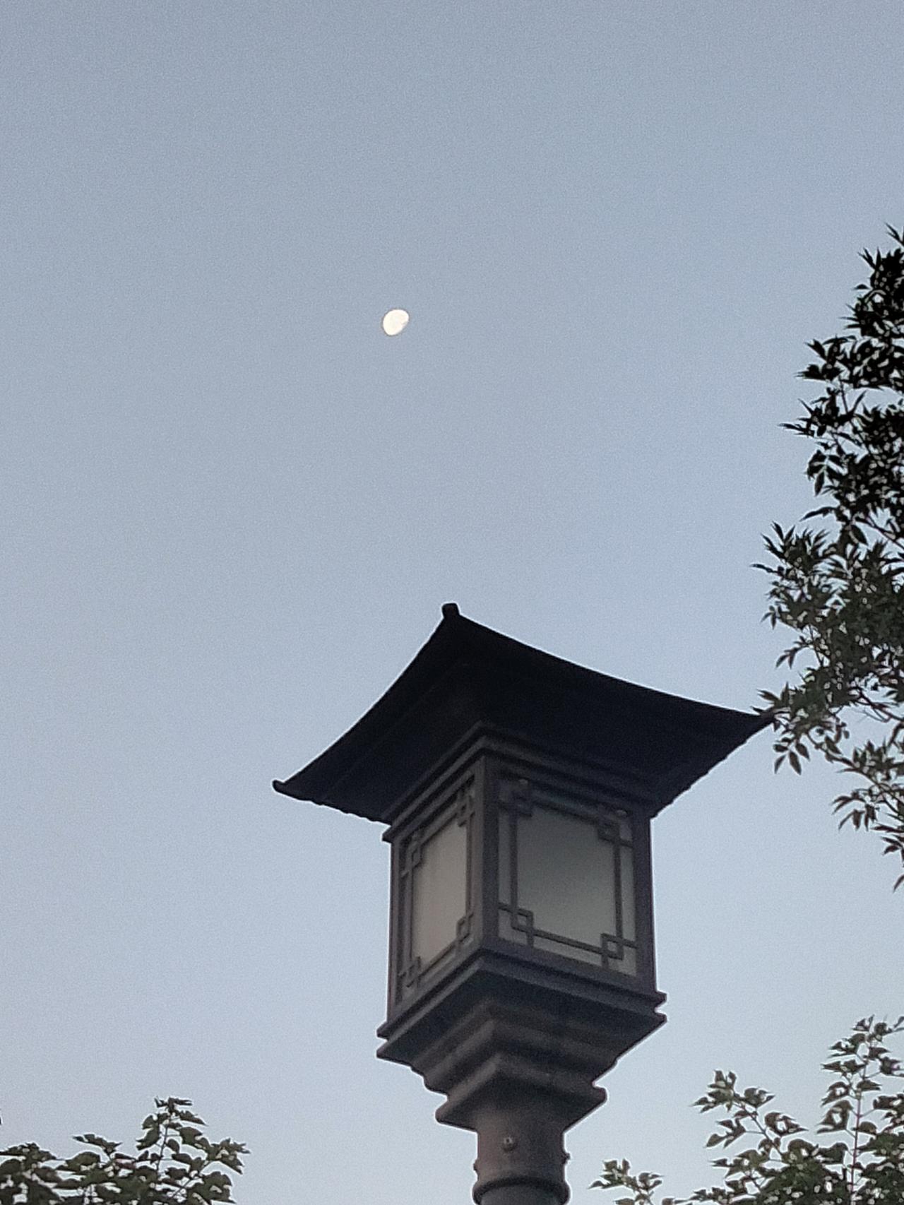 清晨，留恋的月亮！