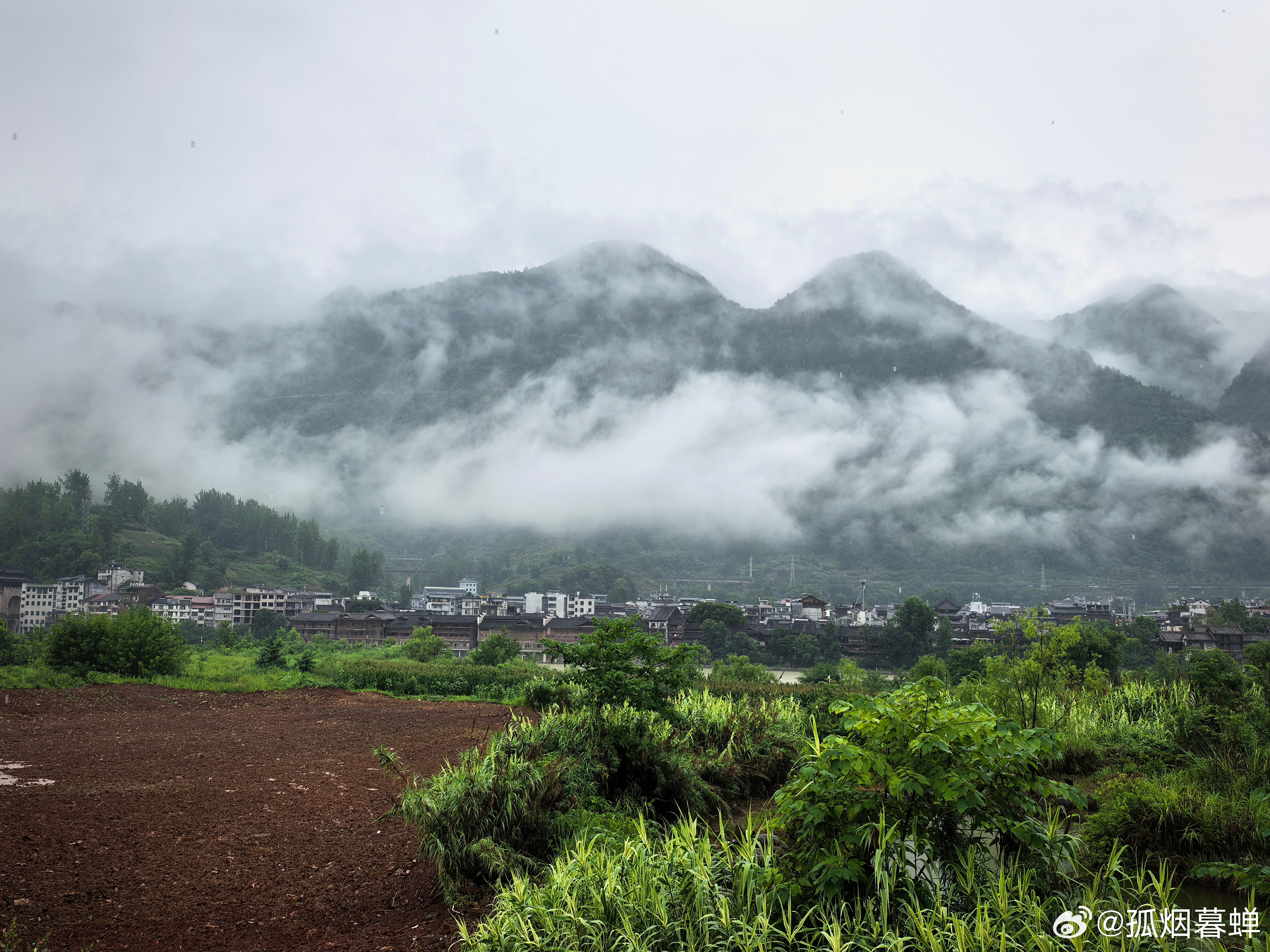 濯水风雨廊桥，每一帧都是一幅画，不用特意寻找角度，美不胜收。#道中华黔江行##去