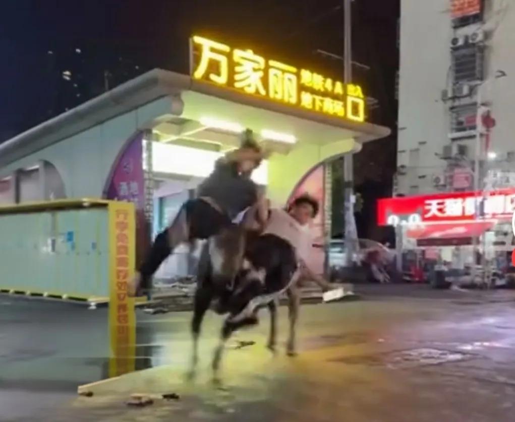 “待宰黄牛逃脱疯狂向人类报复”，特警出手击毙！

该事件发生在2026年6月21