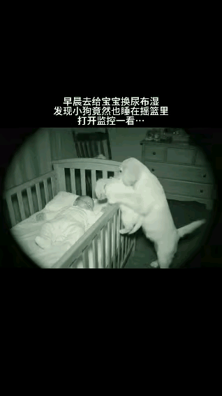 “解释不清了！”一女子早上起来给娃换尿布，发现摇篮里除了自家宝宝，还多了只小奶狗