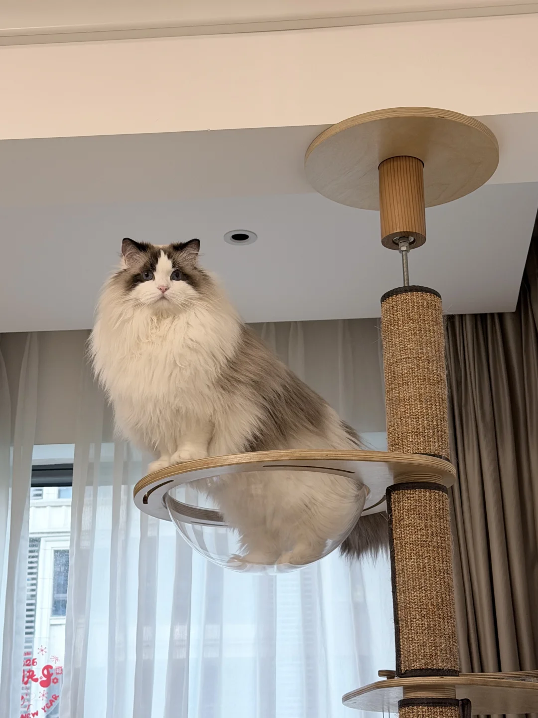 咪的身材很曼妙～