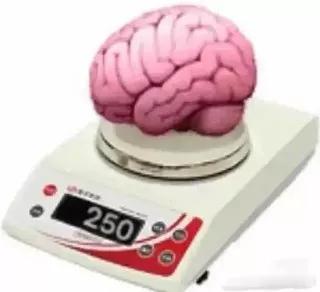 北大教授称灵活就业是福利与文明世界依然差着一个把人当人的距离……这确实是学医救不