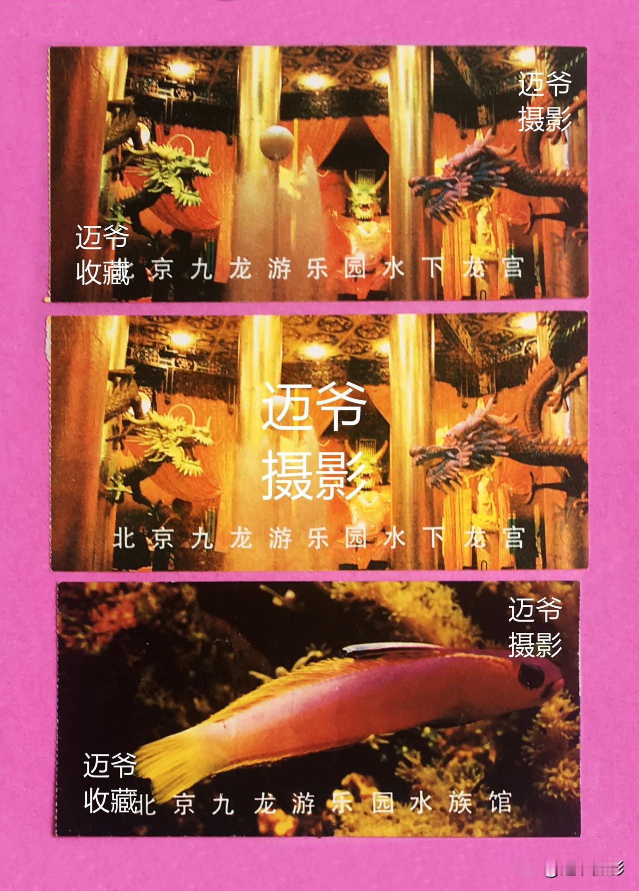 我收藏的门票149~90年代九龙游乐园门票【手机翻拍、个人收藏】
这座坐落在十三