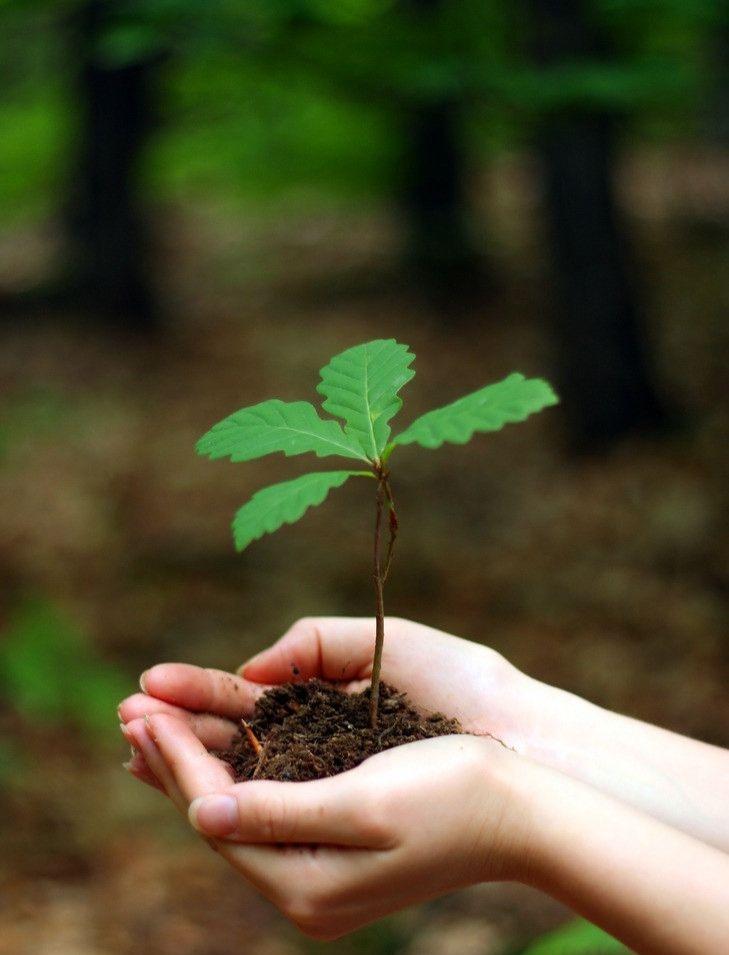 【三年一倍 vs 一年三倍，你怎么选？】
昨天和一位老股民喝茶，他说这辈子最正确