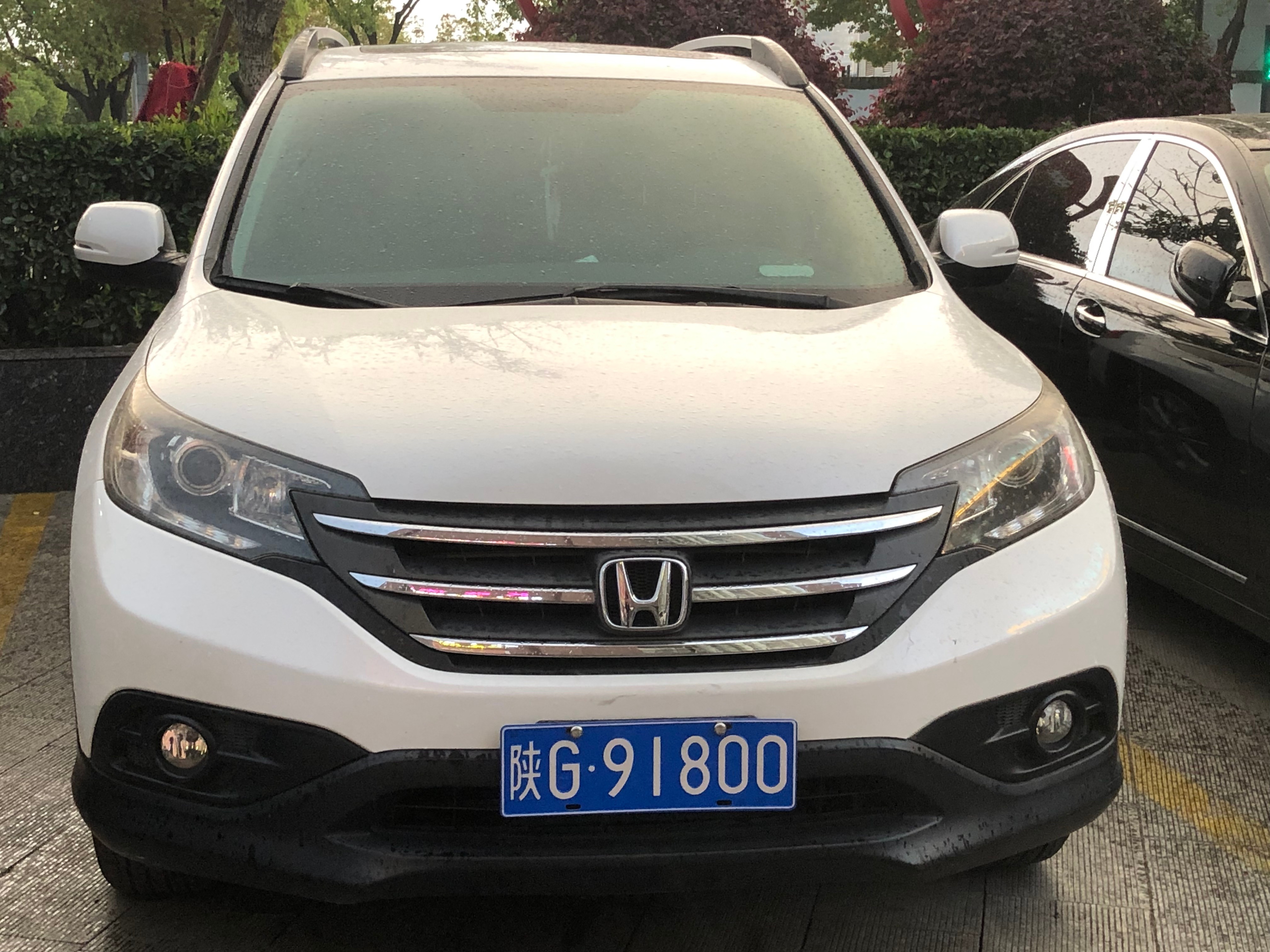 全球车牌 陕G91800本田CRV 安康·美豪丽致酒店(安康滨江旗舰店)