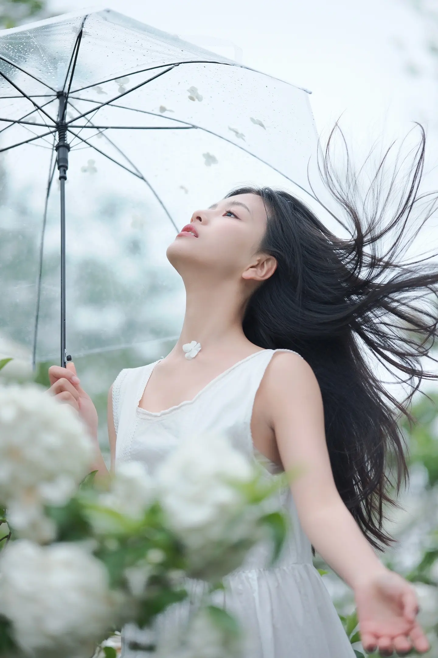 镜头里藏着雨天。