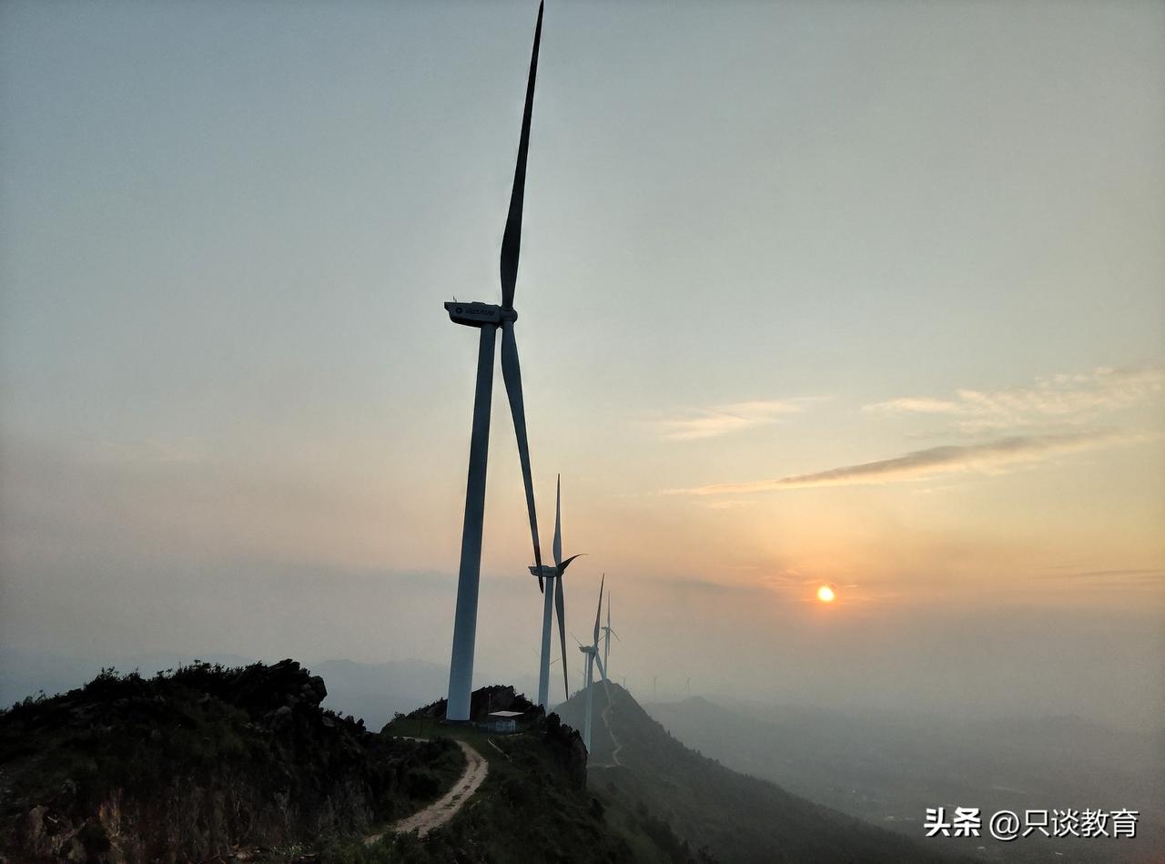 大学老师为何未被认定为国家公职人员？
依据2026年《教师法》第十三条（特别身份