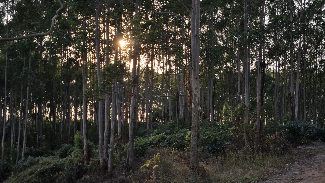 在北海星岛湖边农家乐，亲手抓的的土鸡煲汤，连喝了5碗，汤鲜味美，鸡肉Q弹，价格也