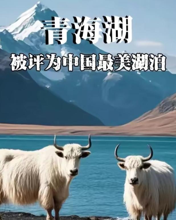 在青海湖边露营的那个夜晚，现在想起来还觉得心脏在发烫。
 
本是临时起意的自驾，