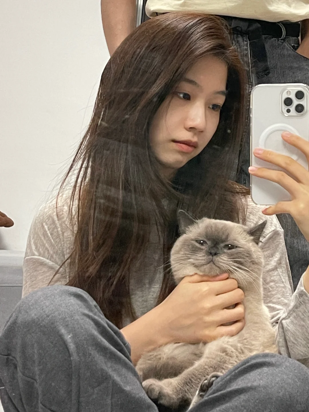 养宠前后的区别居然这么大